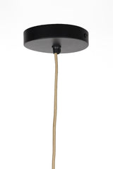 WLL-10583.01#rawq1:4