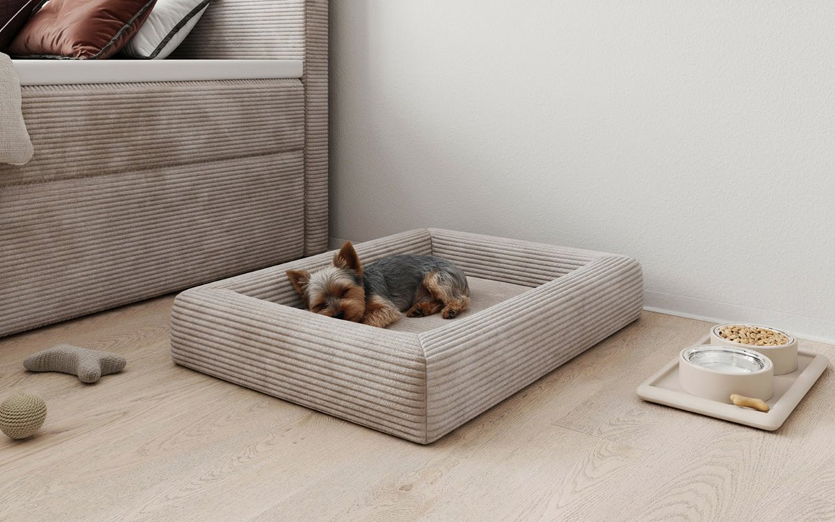 Hundebett Cordino 80 × 60 cm in Cord