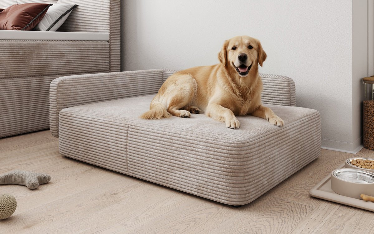 Hundebett BelloCouch 80 × 100 cm in Cord