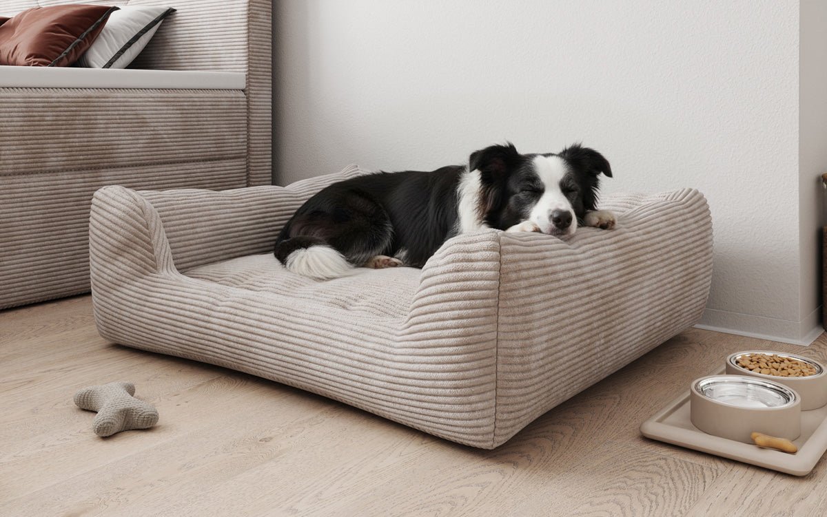 Hundebett Cosmo 120 × 80 cm in Cord