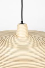 ZUI-10282#rawq1:2