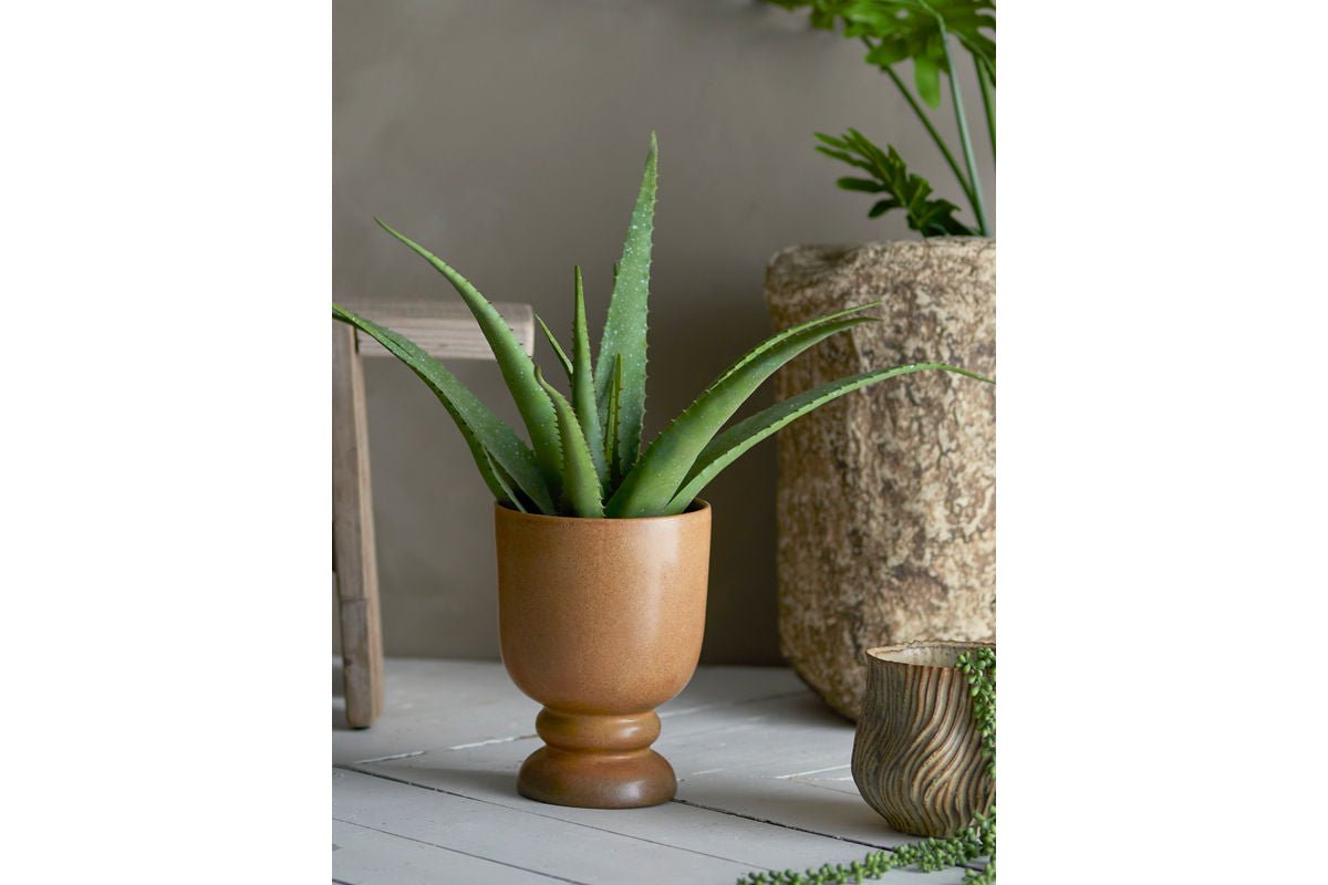 Kunstpflanze Aloeve - Höhe 61 cm