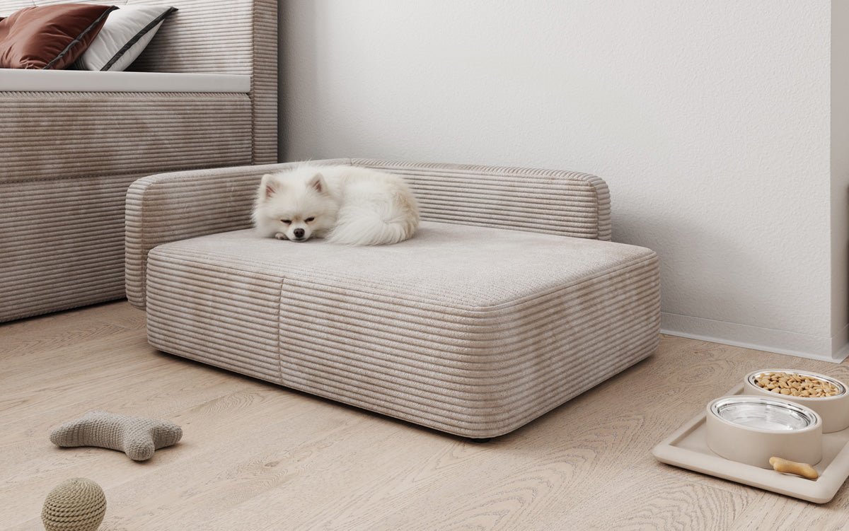 Hundebett BelloCouch 80 × 60 cm in Cord