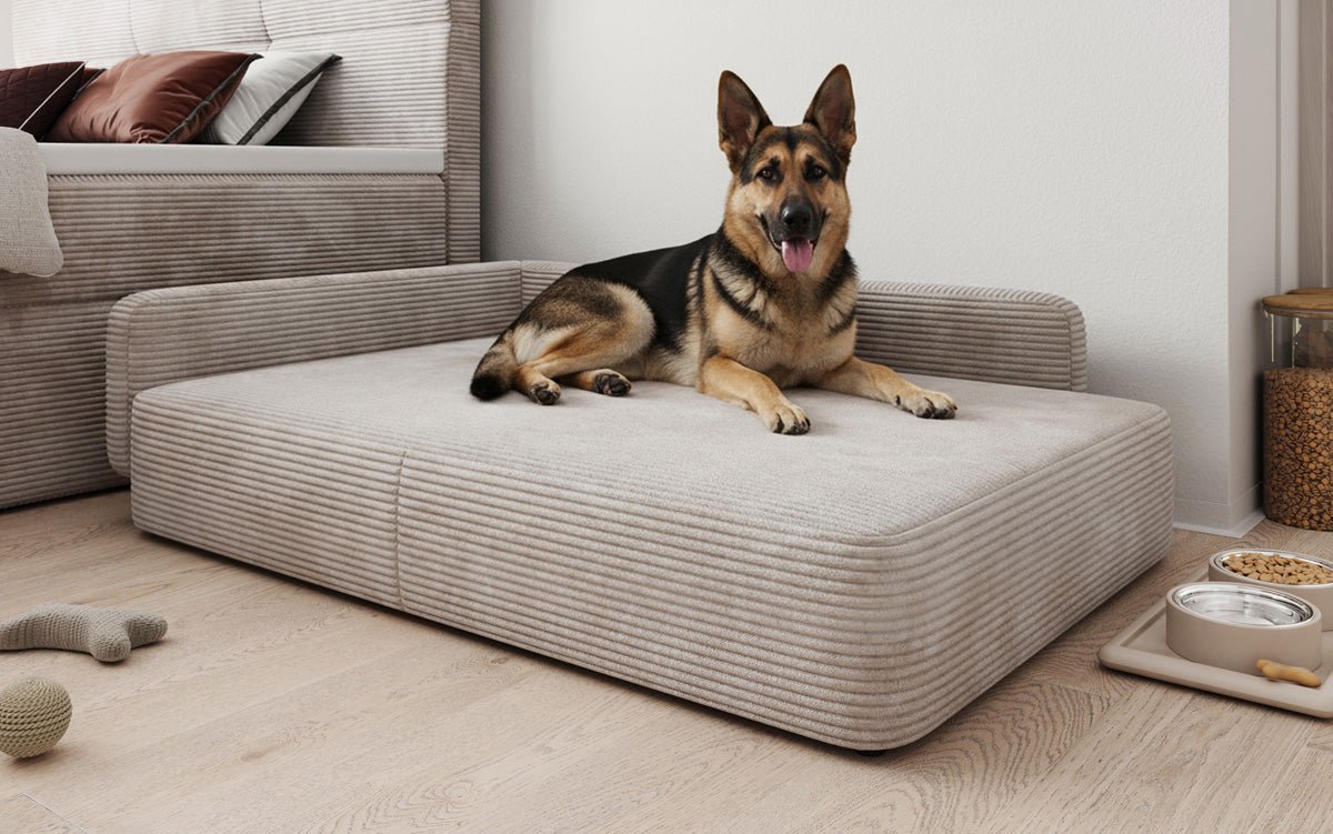 Hundebett BelloCouch 100 × 120 cm in Cord