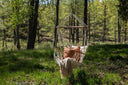 Garten Hängesessel Arlena – Bequemer Outdoor-Schaukelstuhl in Weiß